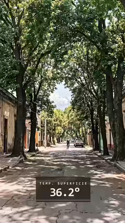 Película territorial: La ciudad de los 6 grados, análisis de temperatura de superficie estimada y edificaciones tridimensionales.